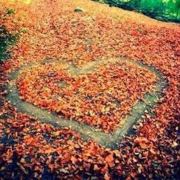 Meet your Posher, Kresha - Picture 1 of 1